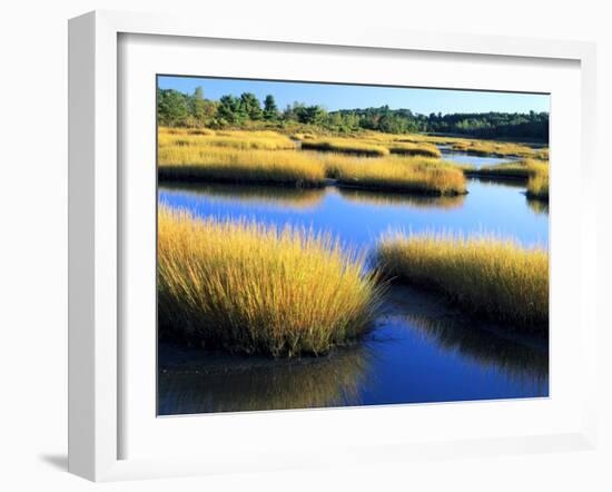 Salt Marsh at Sunrise, Estuary of New Meadow River in Early Autumn, Maine, Usa-Scott T^ Smith-Framed Photographic Print
