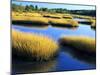 Salt Marsh at Sunrise, Estuary of New Meadow River in Early Autumn, Maine, Usa-Scott T^ Smith-Mounted Photographic Print