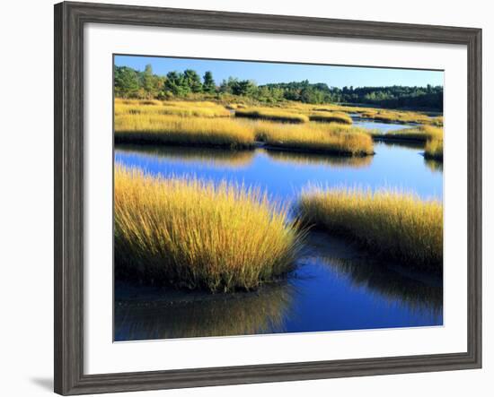 Salt Marsh at Sunrise, Estuary of New Meadow River in Early Autumn, Maine, Usa-Scott T^ Smith-Framed Photographic Print