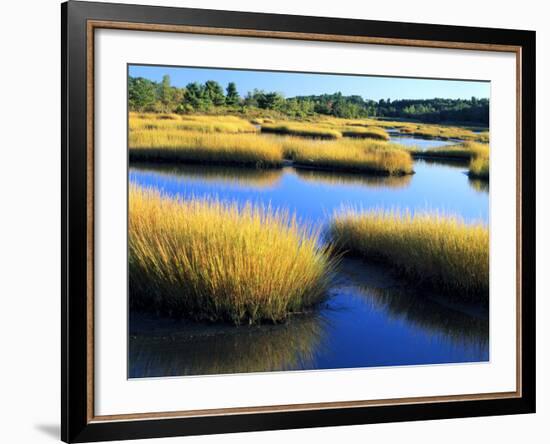 Salt Marsh at Sunrise, Estuary of New Meadow River in Early Autumn, Maine, Usa-Scott T^ Smith-Framed Photographic Print