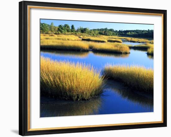 Salt Marsh at Sunrise, Estuary of New Meadow River in Early Autumn, Maine, Usa-Scott T^ Smith-Framed Photographic Print