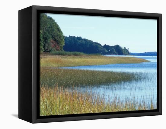 Salt Marsh Bordering the Royal River, Maine, USA-Jerry & Marcy Monkman-Framed Premier Image Canvas