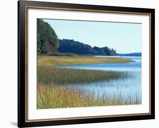 Salt Marsh Bordering the Royal River, Maine, USA-Jerry & Marcy Monkman-Framed Photographic Print