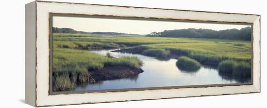 Salt Marsh Cape Cod Ma, USA-null-Framed Premier Image Canvas