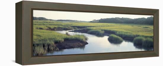 Salt Marsh Cape Cod Ma, USA-null-Framed Premier Image Canvas