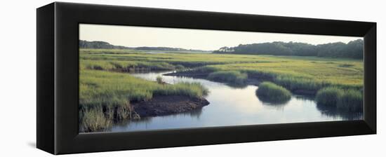 Salt Marsh Cape Cod Ma, USA-null-Framed Premier Image Canvas