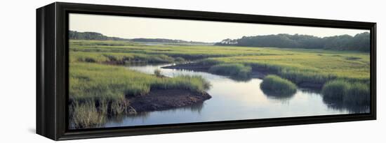 Salt Marsh Cape Cod Ma, USA-null-Framed Premier Image Canvas