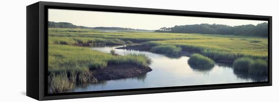 Salt Marsh Cape Cod Ma, USA-null-Framed Premier Image Canvas