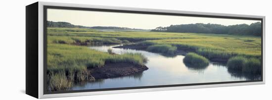 Salt Marsh Cape Cod Ma, USA-null-Framed Premier Image Canvas