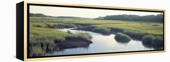 Salt Marsh Cape Cod Ma, USA-null-Framed Premier Image Canvas