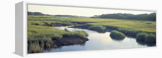 Salt Marsh Cape Cod Ma, USA-null-Framed Premier Image Canvas