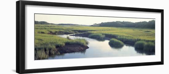 Salt Marsh Cape Cod Ma, USA-null-Framed Premium Photographic Print