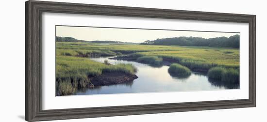 Salt Marsh Cape Cod Ma, USA-null-Framed Photographic Print