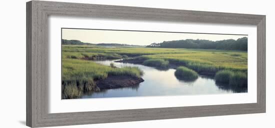 Salt Marsh Cape Cod Ma, USA-null-Framed Photographic Print