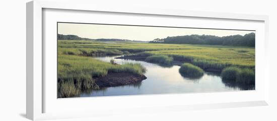 Salt Marsh Cape Cod Ma, USA-null-Framed Photographic Print