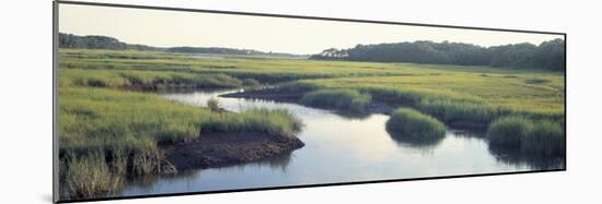 Salt Marsh Cape Cod Ma, USA-null-Mounted Photographic Print