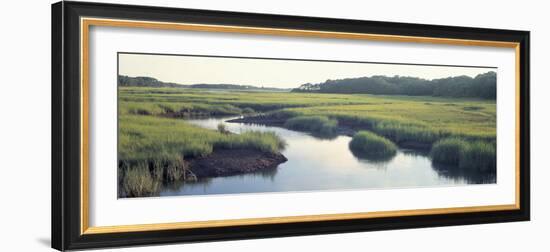 Salt Marsh Cape Cod Ma, USA--Framed Photographic Print