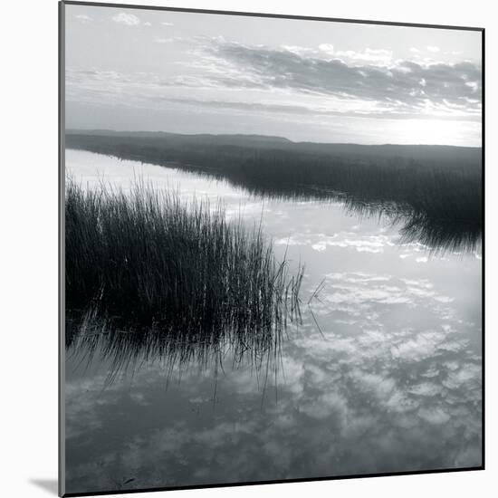 Salt Marsh Reflections-Michael Kahn-Mounted Giclee Print