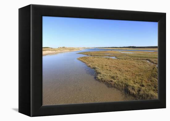 Salt Marsh, Sandwich, Cape Cod, Massachusetts, New England, United States of America, North America-Wendy Connett-Framed Premier Image Canvas