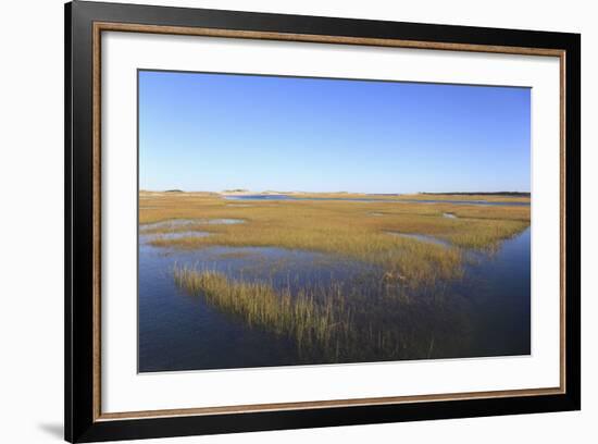 Salt Marsh, Sandwich, Cape Cod, Massachusetts, New England, United States of America, North America-Wendy Connett-Framed Photographic Print