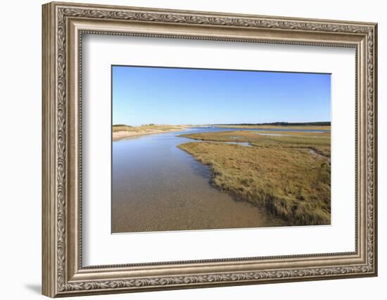 Salt Marsh, Sandwich, Cape Cod, Massachusetts, New England, United States of America, North America-Wendy Connett-Framed Photographic Print