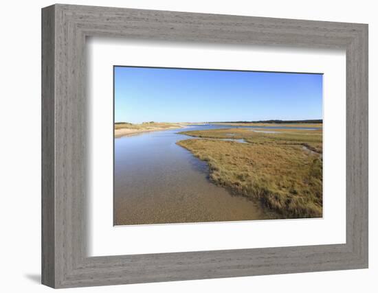 Salt Marsh, Sandwich, Cape Cod, Massachusetts, New England, United States of America, North America-Wendy Connett-Framed Photographic Print