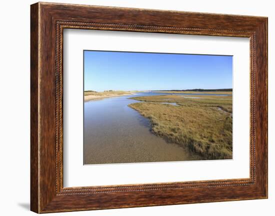 Salt Marsh, Sandwich, Cape Cod, Massachusetts, New England, United States of America, North America-Wendy Connett-Framed Photographic Print