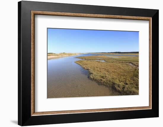 Salt Marsh, Sandwich, Cape Cod, Massachusetts, New England, United States of America, North America-Wendy Connett-Framed Photographic Print