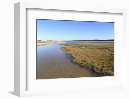 Salt Marsh, Sandwich, Cape Cod, Massachusetts, New England, United States of America, North America-Wendy Connett-Framed Photographic Print