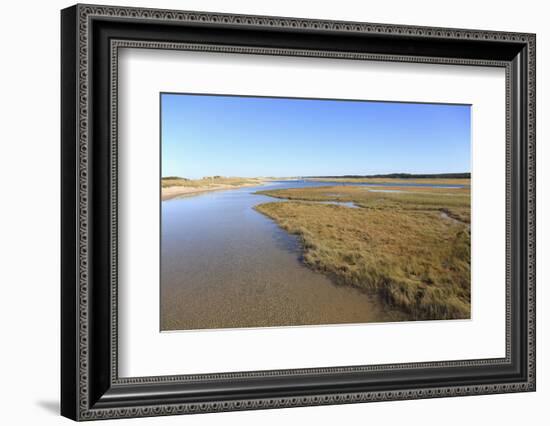 Salt Marsh, Sandwich, Cape Cod, Massachusetts, New England, United States of America, North America-Wendy Connett-Framed Photographic Print