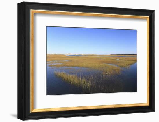 Salt Marsh, Sandwich, Cape Cod, Massachusetts, New England, United States of America, North America-Wendy Connett-Framed Photographic Print