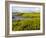 Salt Marsh side of Long Beach in Stratford, Connecticut, USA-Jerry & Marcy Monkman-Framed Photographic Print