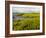 Salt Marsh side of Long Beach in Stratford, Connecticut, USA-Jerry & Marcy Monkman-Framed Photographic Print