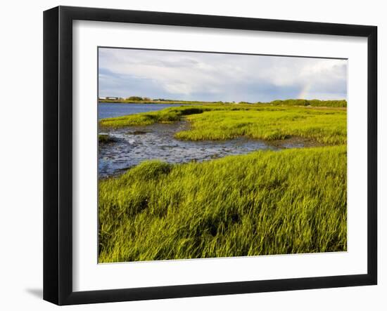 Salt Marsh side of Long Beach in Stratford, Connecticut, USA-Jerry & Marcy Monkman-Framed Photographic Print