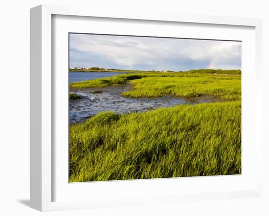 Salt Marsh side of Long Beach in Stratford, Connecticut, USA-Jerry & Marcy Monkman-Framed Photographic Print