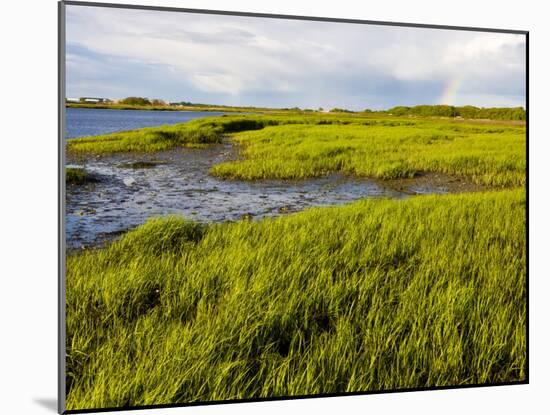 Salt Marsh side of Long Beach in Stratford, Connecticut, USA-Jerry & Marcy Monkman-Mounted Photographic Print