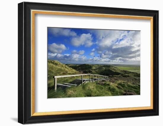 Salt Marshes Along the 'List Kšnigshafen' from the 'Jensmettenberg' across Vegetated Dunes-Uwe Steffens-Framed Photographic Print