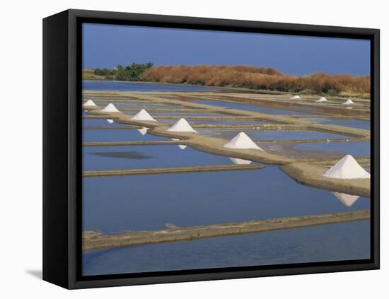 Salt Pans in Marshes, Ile De Re, Poitou Charentes, France, Europe-Thouvenin Guy-Framed Premier Image Canvas