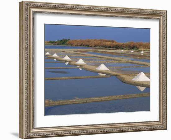 Salt Pans in Marshes, Ile De Re, Poitou Charentes, France, Europe-Thouvenin Guy-Framed Photographic Print