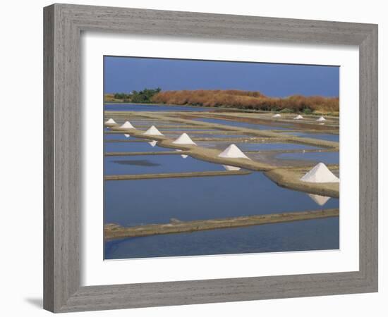 Salt Pans in Marshes, Ile De Re, Poitou Charentes, France, Europe-Thouvenin Guy-Framed Photographic Print