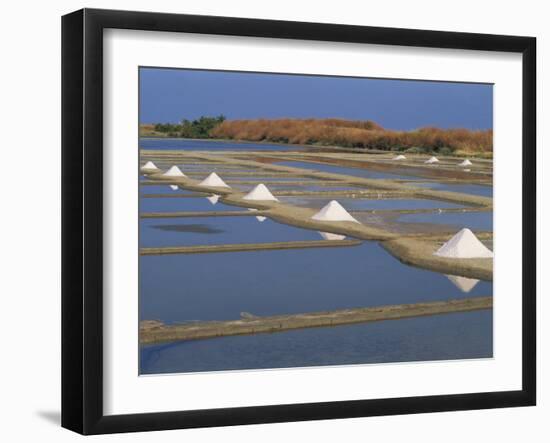 Salt Pans in Marshes, Ile De Re, Poitou Charentes, France, Europe-Thouvenin Guy-Framed Photographic Print