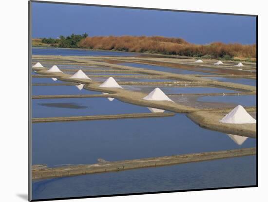 Salt Pans in Marshes, Ile De Re, Poitou Charentes, France, Europe-Thouvenin Guy-Mounted Photographic Print