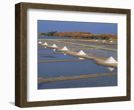 Salt Pans in Marshes, Ile De Re, Poitou Charentes, France, Europe-Thouvenin Guy-Framed Photographic Print