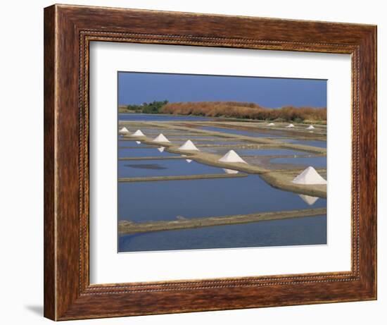 Salt Pans in Marshes, Ile De Re, Poitou Charentes, France, Europe-Thouvenin Guy-Framed Photographic Print