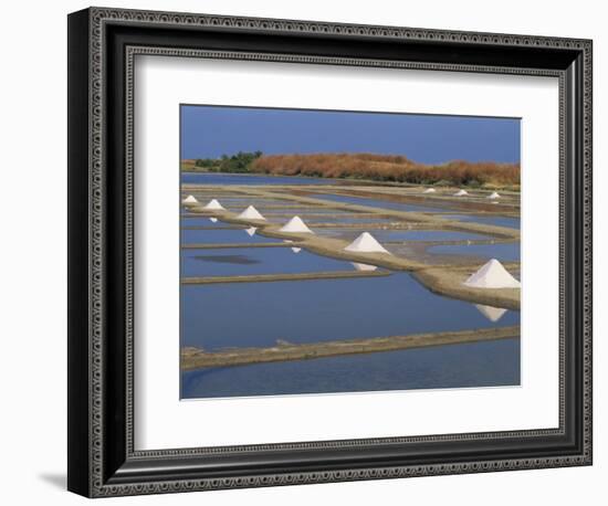 Salt Pans in Marshes, Ile De Re, Poitou Charentes, France, Europe-Thouvenin Guy-Framed Photographic Print