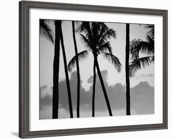 Salt Water Pond State Park, Kauai, Hawaii, USA, Pacific-McCoy Aaron-Framed Photographic Print