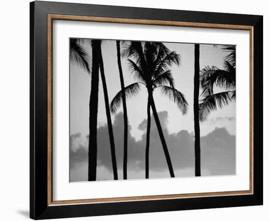Salt Water Pond State Park, Kauai, Hawaii, USA, Pacific-McCoy Aaron-Framed Photographic Print