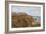 Saltburn, from the E-Alfred Robert Quinton-Framed Giclee Print