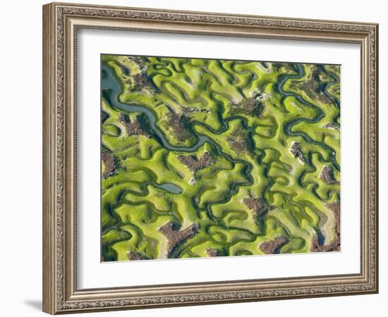 Saltmarsh at Low Tide Near Cadiz, Spain, February 2008-Niall Benvie-Framed Photographic Print