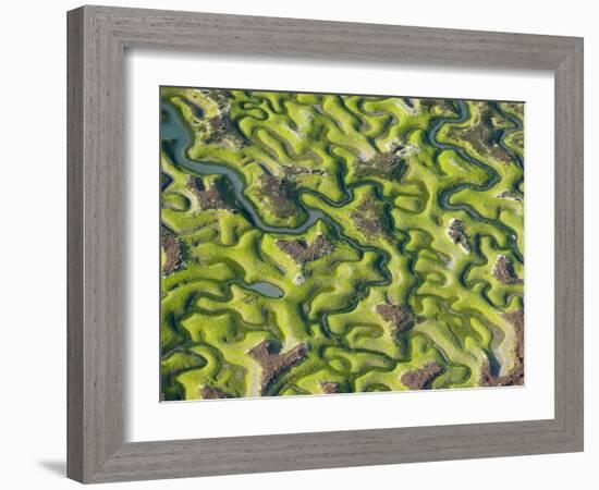 Saltmarsh at Low Tide Near Cadiz, Spain, February 2008-Niall Benvie-Framed Photographic Print